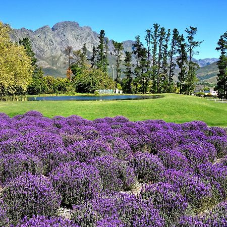 Lavender Farm Guest House Franschhoek Exterior photo