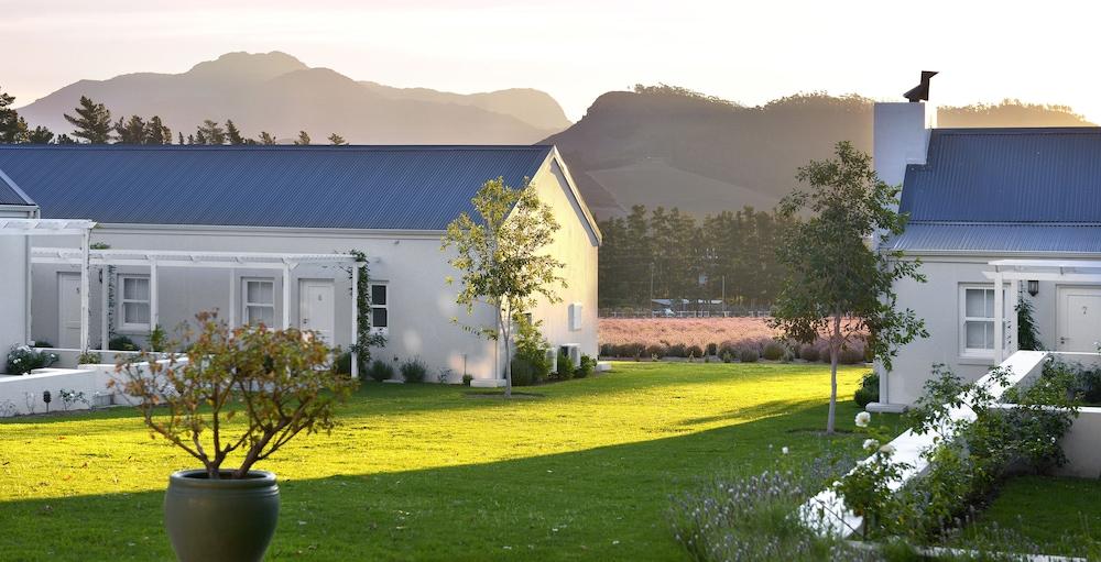 Lavender Farm Guest House Franschhoek Exterior photo