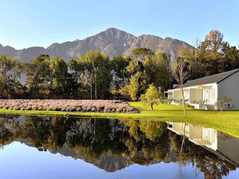 Lavender Farm Guest House Franschhoek Exterior photo