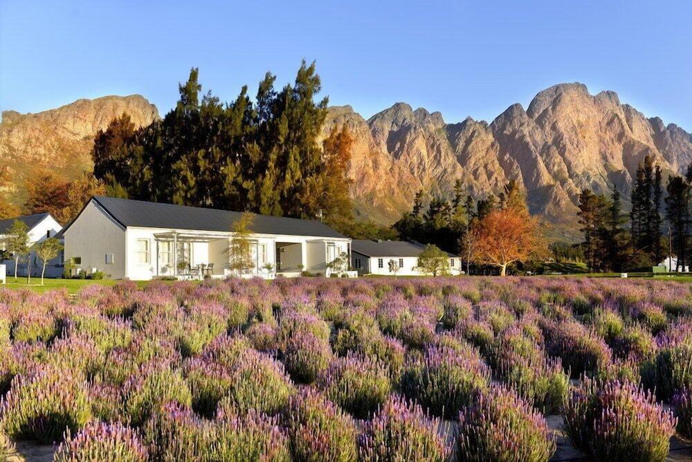 Lavender Farm Guest House Franschhoek Exterior photo