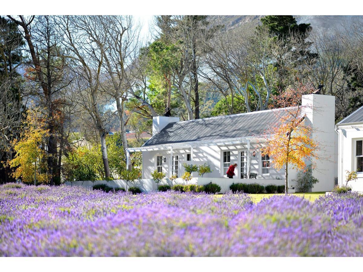 Lavender Farm Guest House Franschhoek Exterior photo