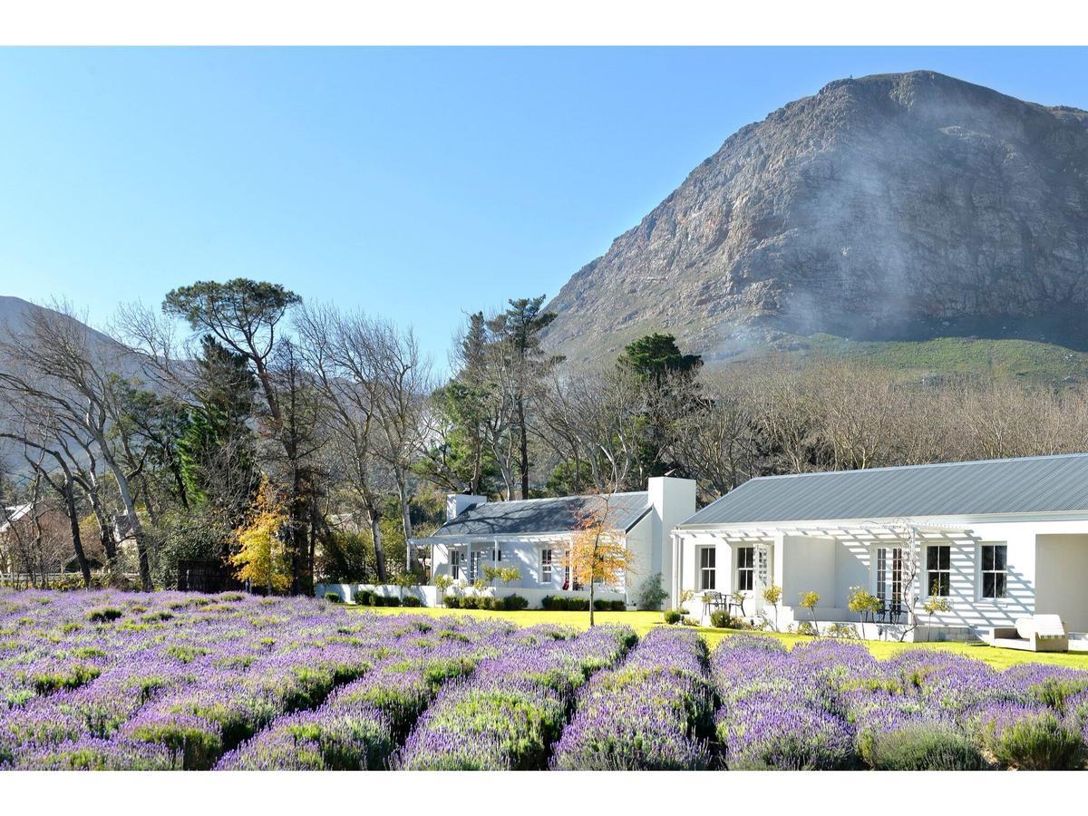 Lavender Farm Guest House Franschhoek Exterior photo