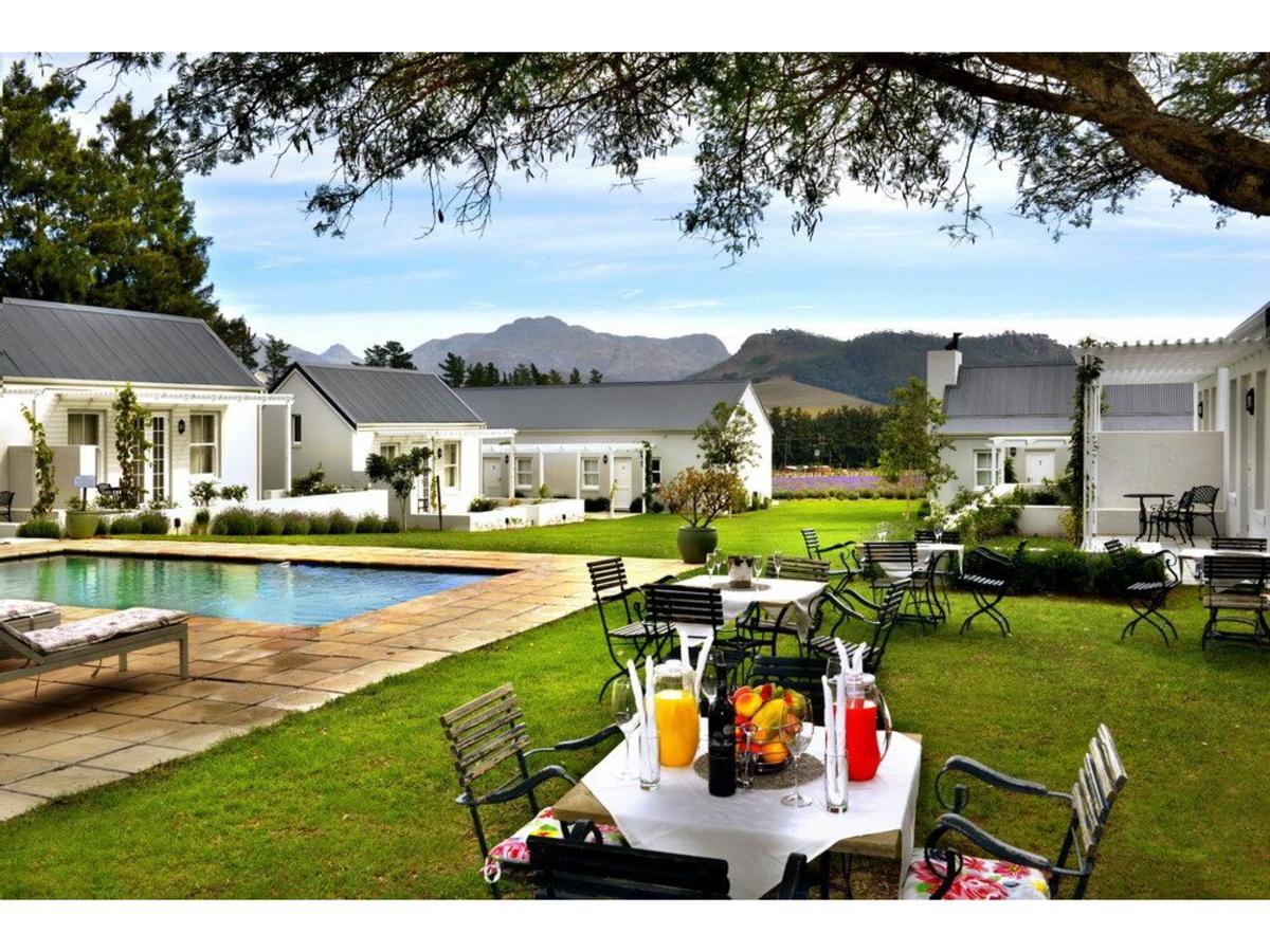 Lavender Farm Guest House Franschhoek Exterior photo