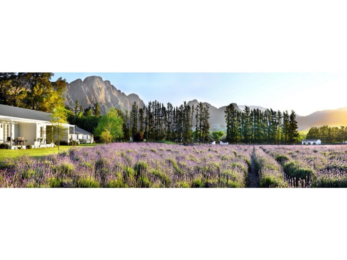 Lavender Farm Guest House Franschhoek Exterior photo