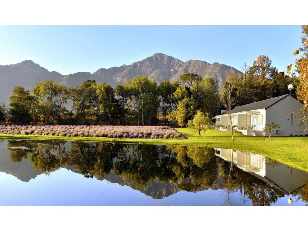 Lavender Farm Guest House Franschhoek Exterior photo