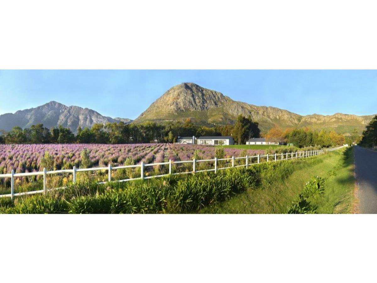 Lavender Farm Guest House Franschhoek Exterior photo