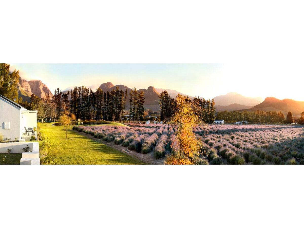 Lavender Farm Guest House Franschhoek Exterior photo