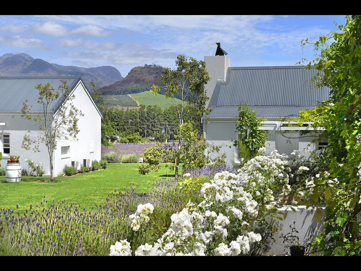 Lavender Farm Guest House Franschhoek Exterior photo