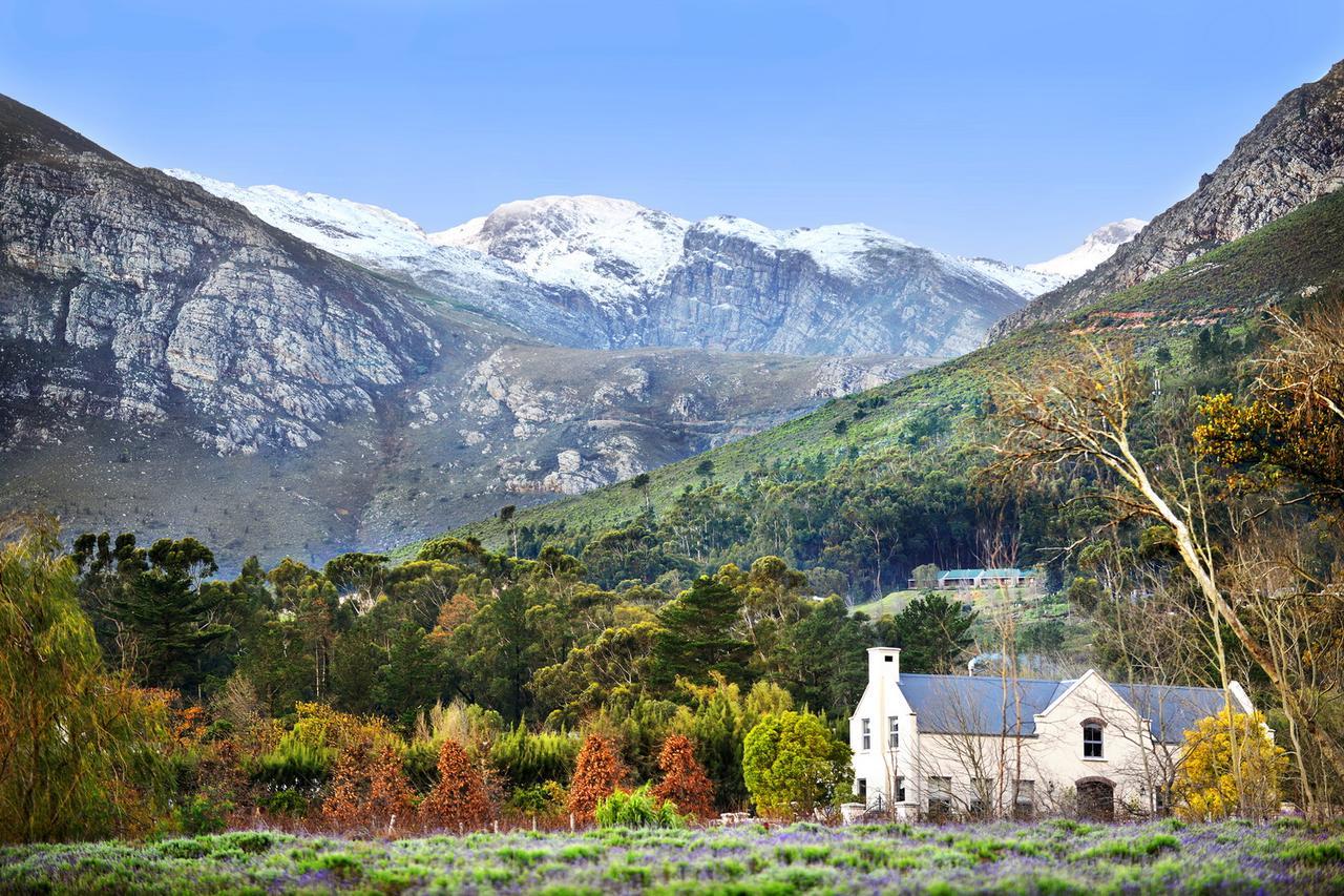 Lavender Farm Guest House Franschhoek Exterior photo