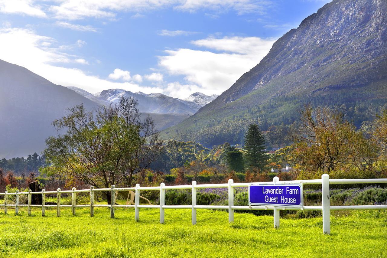 Lavender Farm Guest House Franschhoek Exterior photo