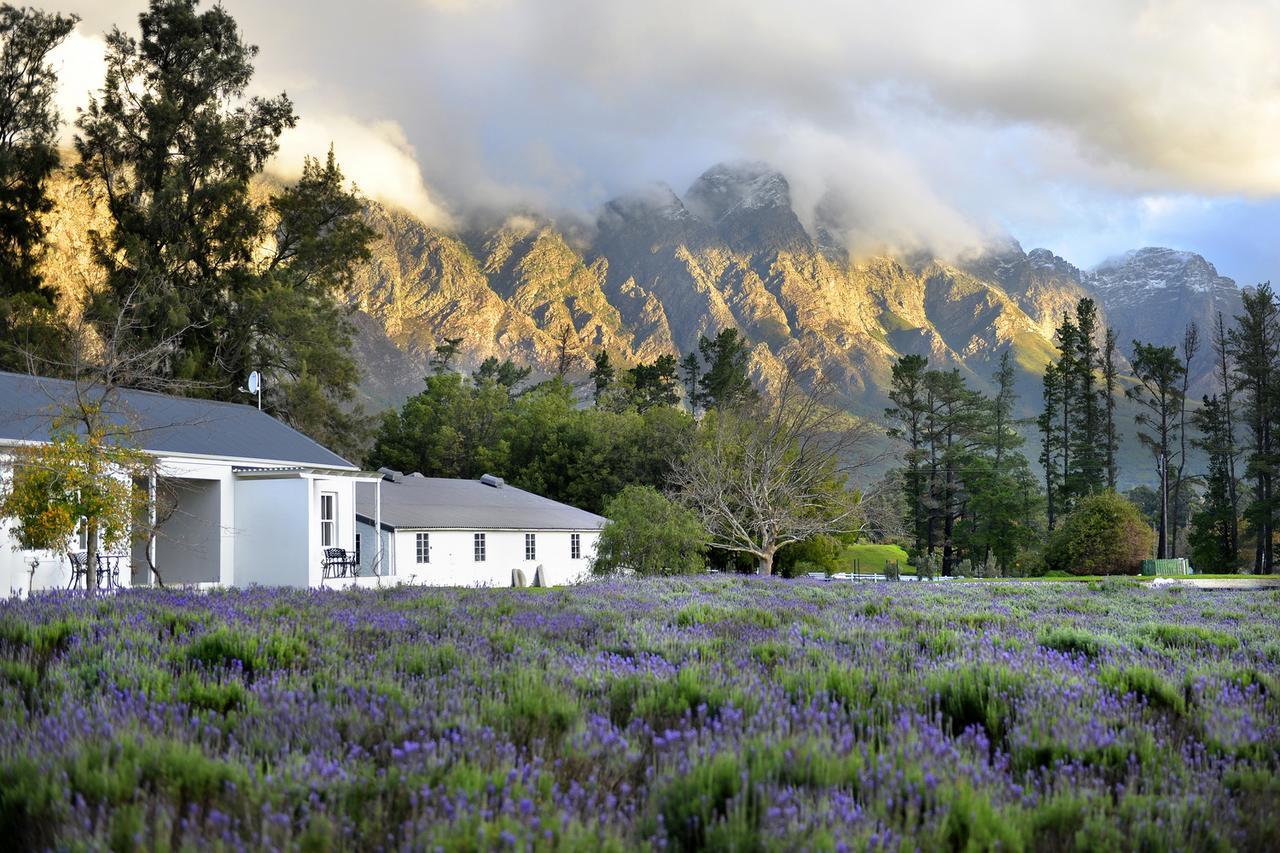 Lavender Farm Guest House Franschhoek Exterior photo