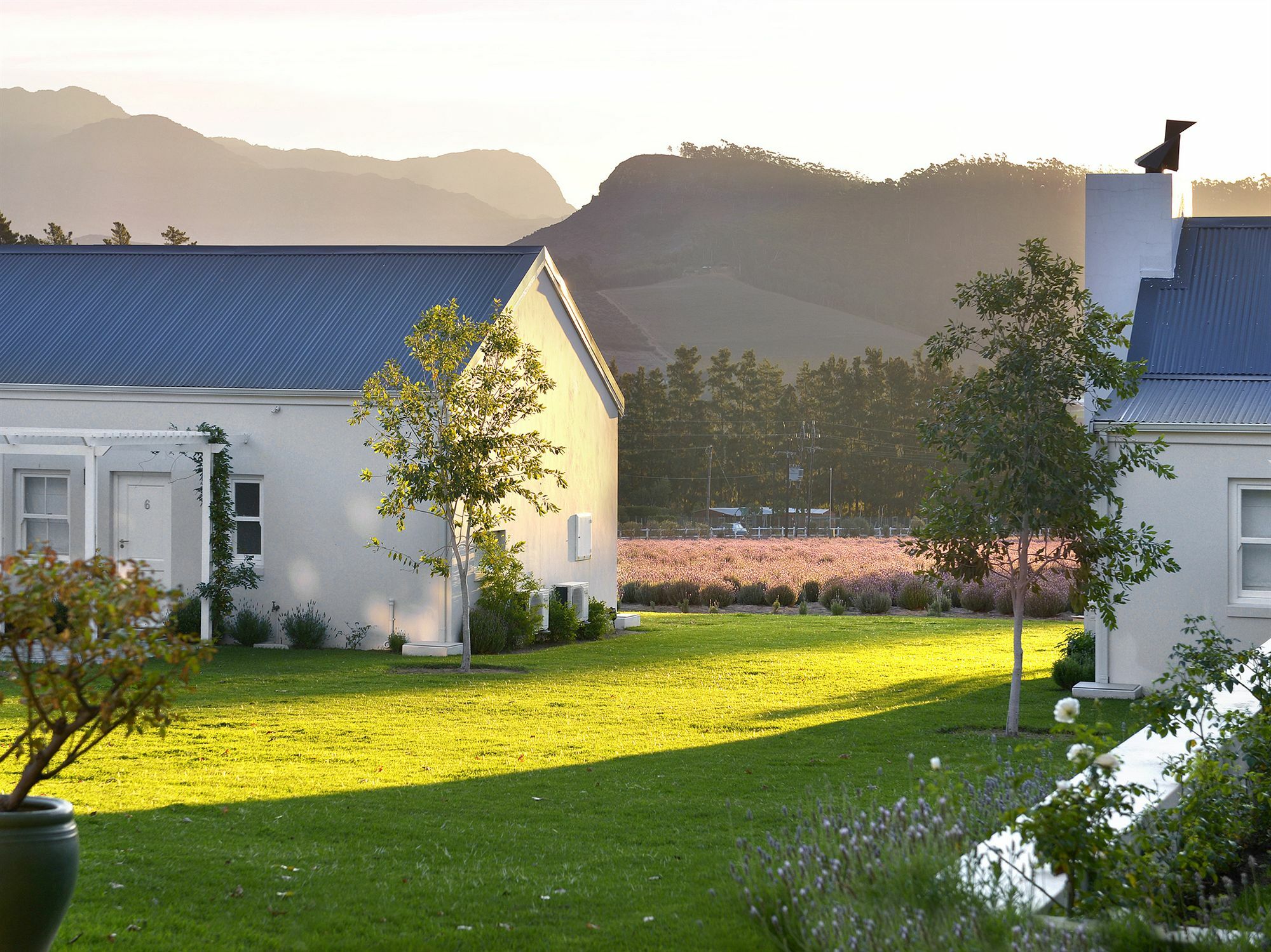 Lavender Farm Guest House Franschhoek Exterior photo