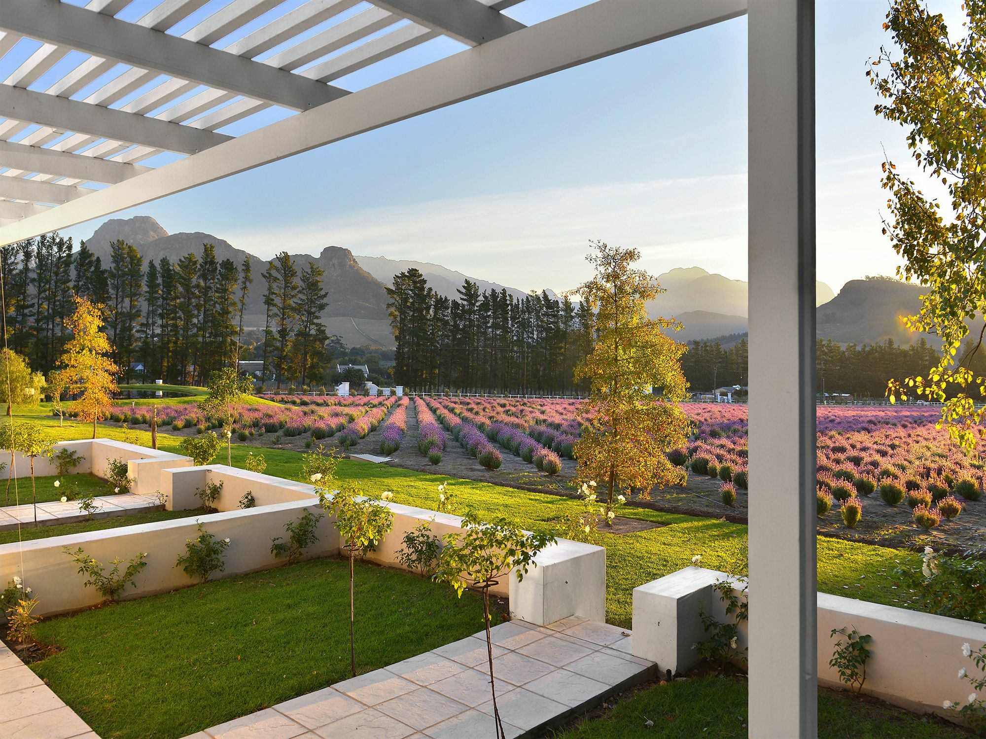 Lavender Farm Guest House Franschhoek Exterior photo