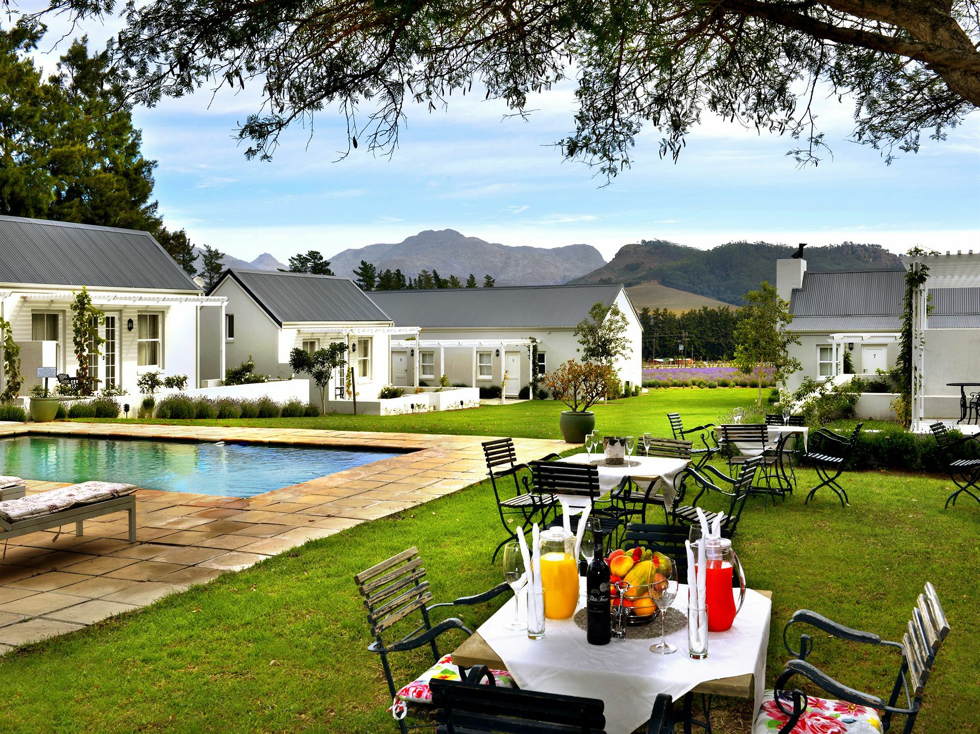 Lavender Farm Guest House Franschhoek Exterior photo