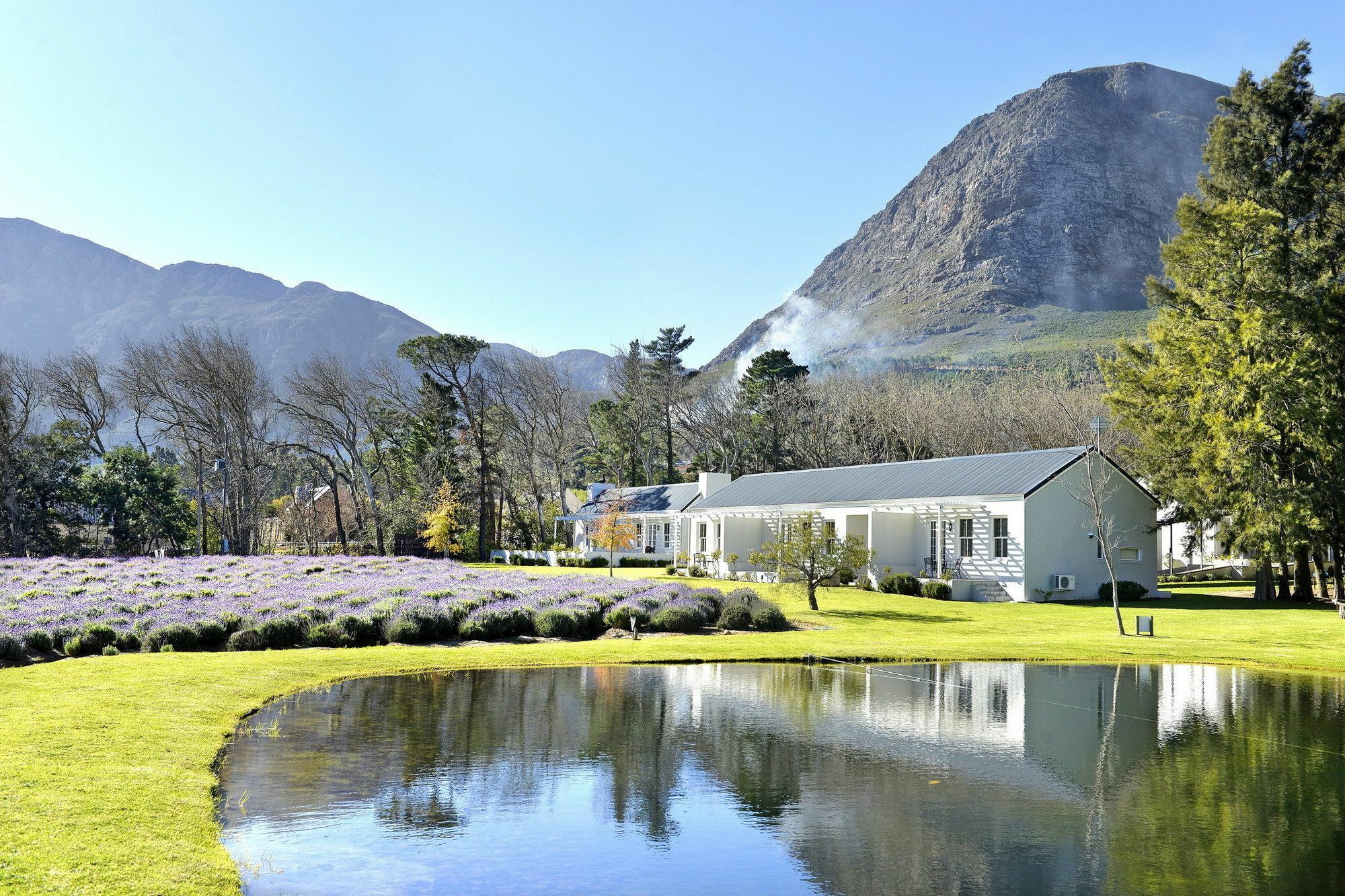 Lavender Farm Guest House Franschhoek Exterior photo